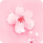 魅影9.1直播安装包