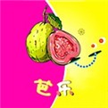 91香蕉影视app免费下载