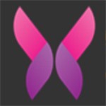 芝士豪八动漫高清免费版