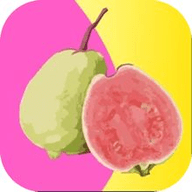 午夜播放器app下载大全