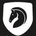 天美视频下载