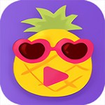 鉴黄师黄金版app