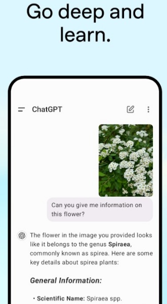 免费ChatGPT中文版1