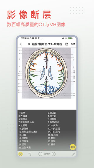 3dbody解剖1