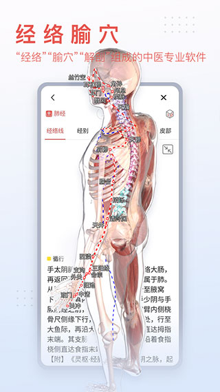 3dbody解剖3