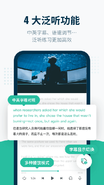 扇贝听力2