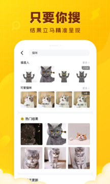 闪萌表情包2