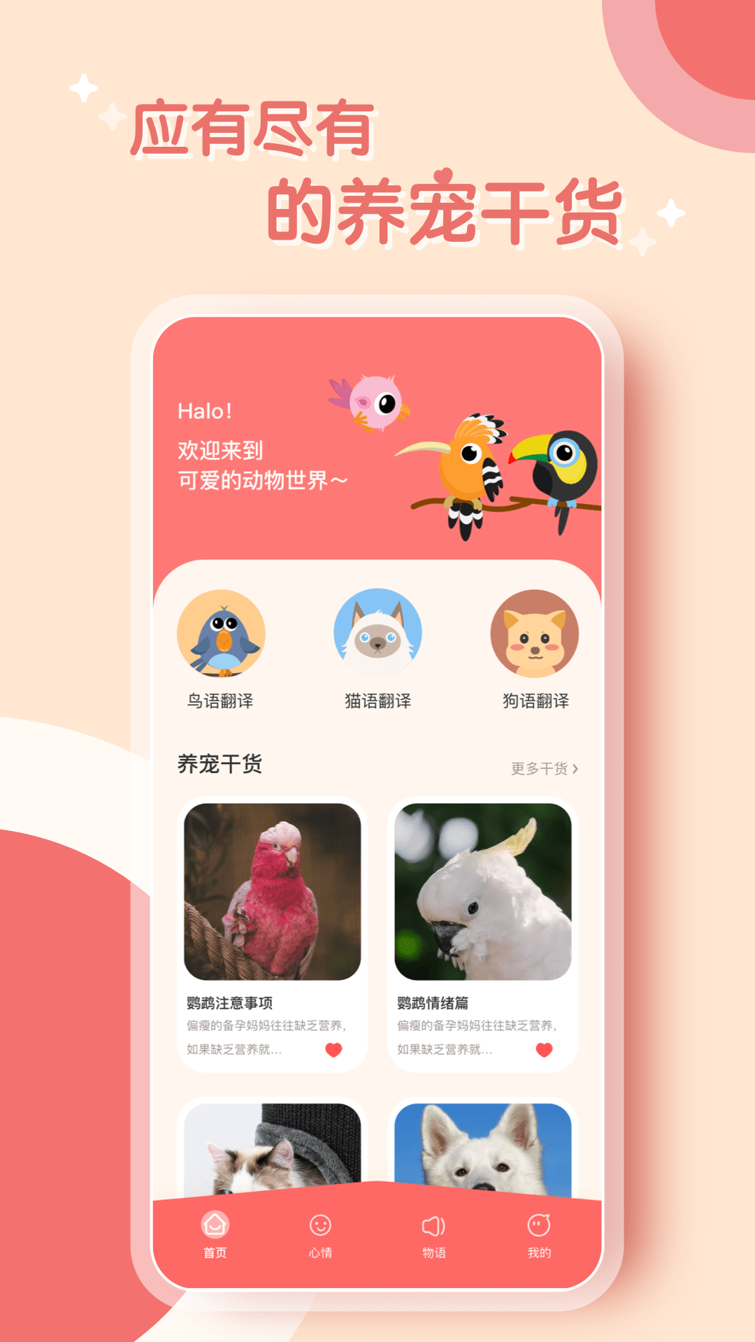 鹦鹉翻译器中文版下载2