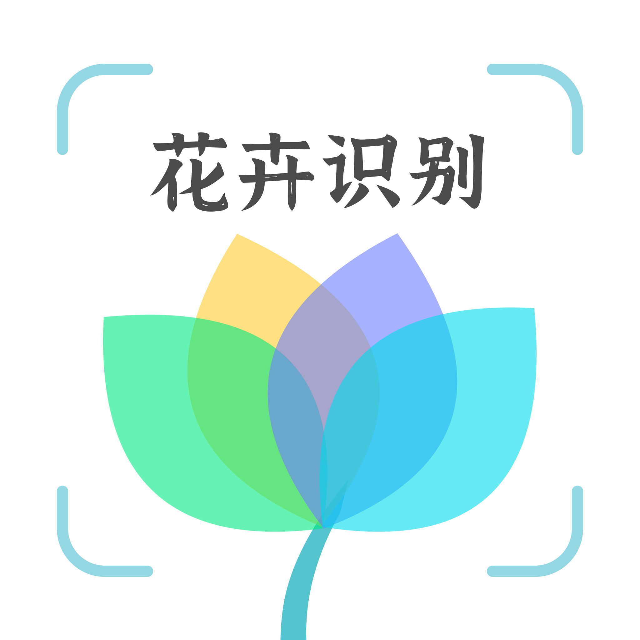 花卉识别app免费下载