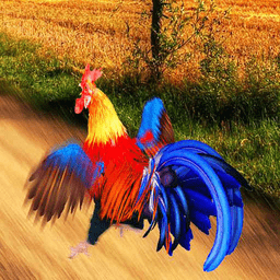 疯狂大跑酷下载