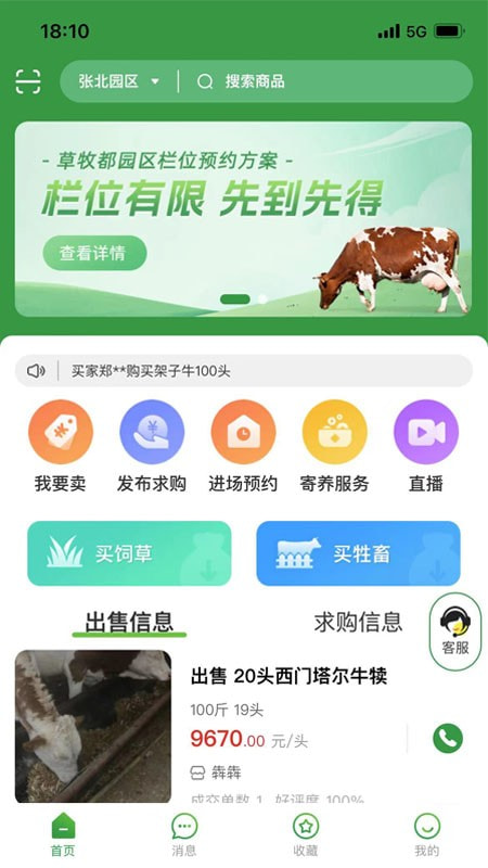 草都云0