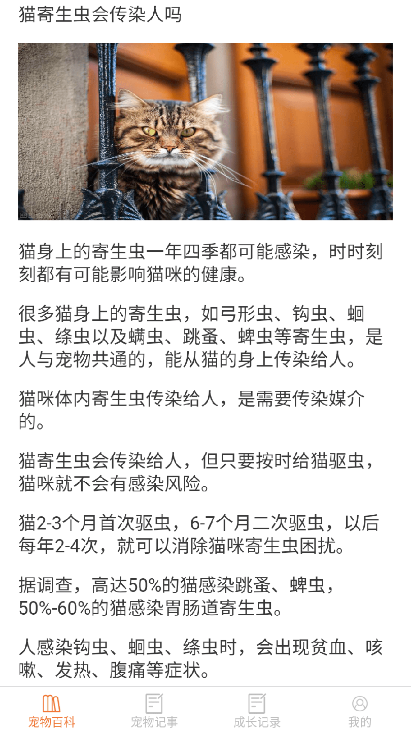 宠物点点0