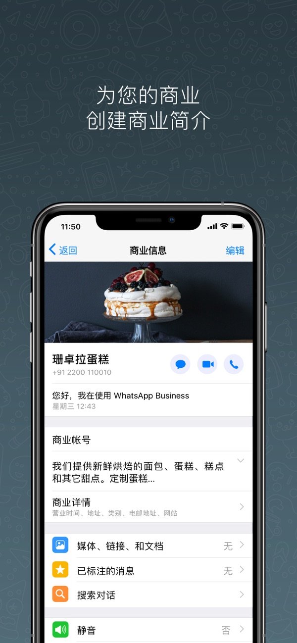 whatsappbusinesspc端2