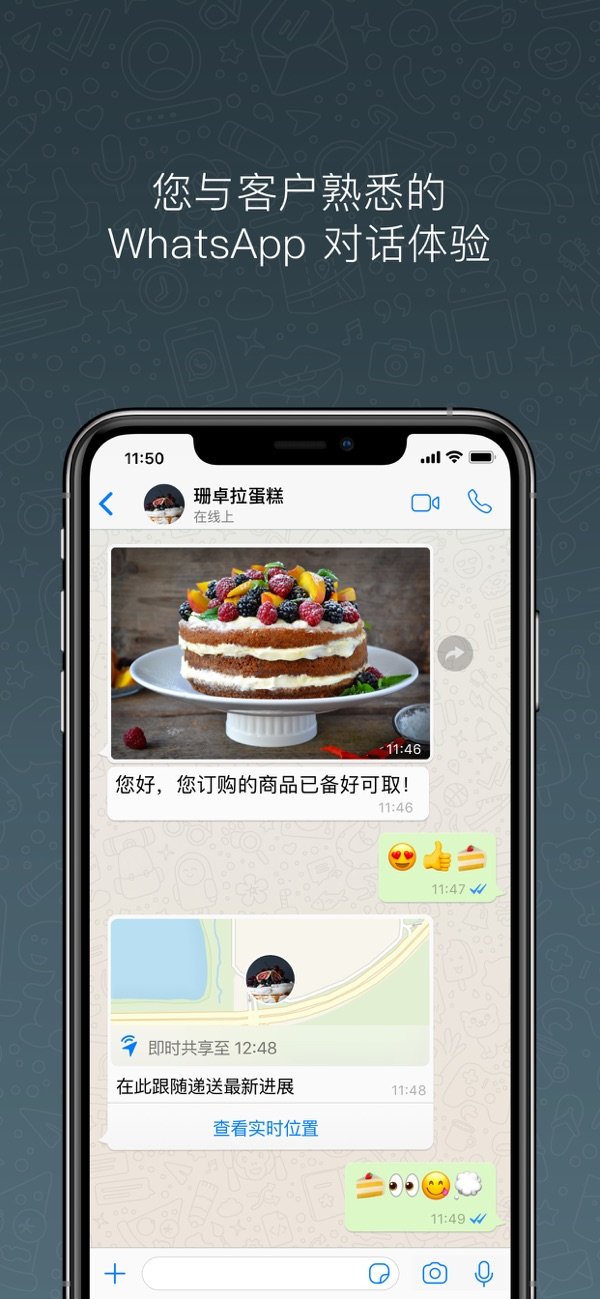 whatsappbusinesspc端
