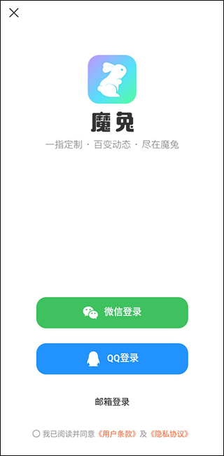 魔兔live2D