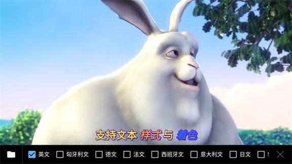 mxplayer pro专业版0