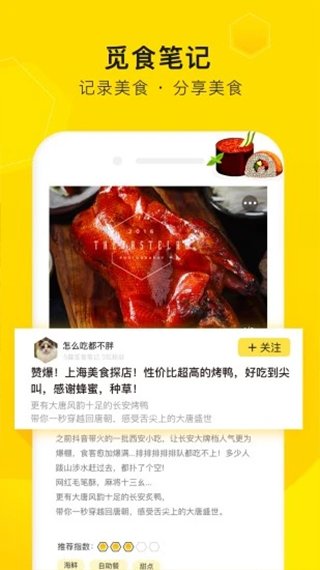 觅食蜂4