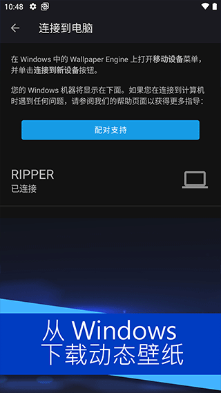 wallpaper engine3